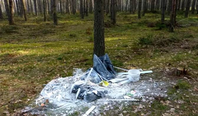 Dlaczego święty Franciszek został patronem ekologów? Historia i znaczenie dla współczesnej ekologii