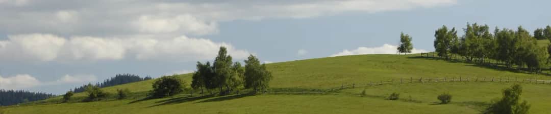 Jak znaleźć zmarłego na cmentarzu Wałbrzych - łatwe sposoby na lokalizację grobu