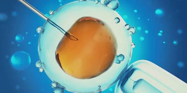 Czy in vitro to grzech? Zaskakujące spojrzenie na naukę Kościoła