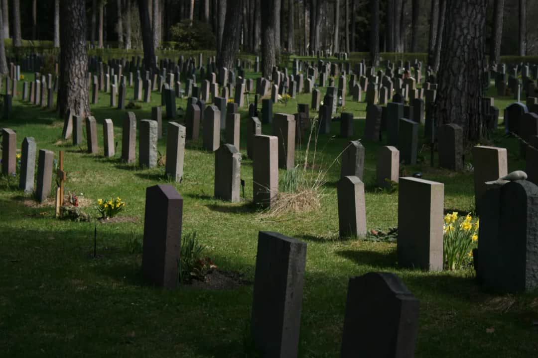 Ile kosztuje miejsce na cmentarzu na Wólce Węglowej? Ceny i opcje