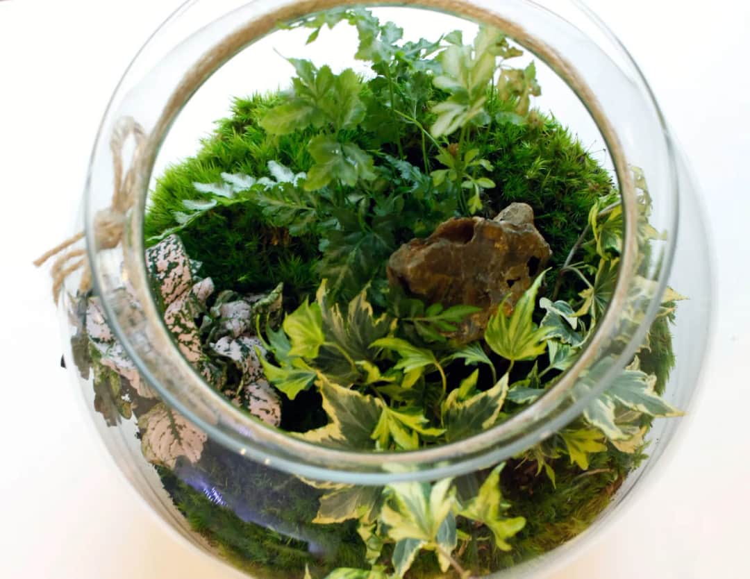 Ile kosztuje wystrój kościoła na ślub? Ceny, które zaskoczą!